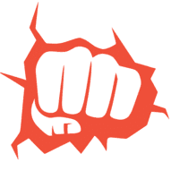 DojoMasterPro